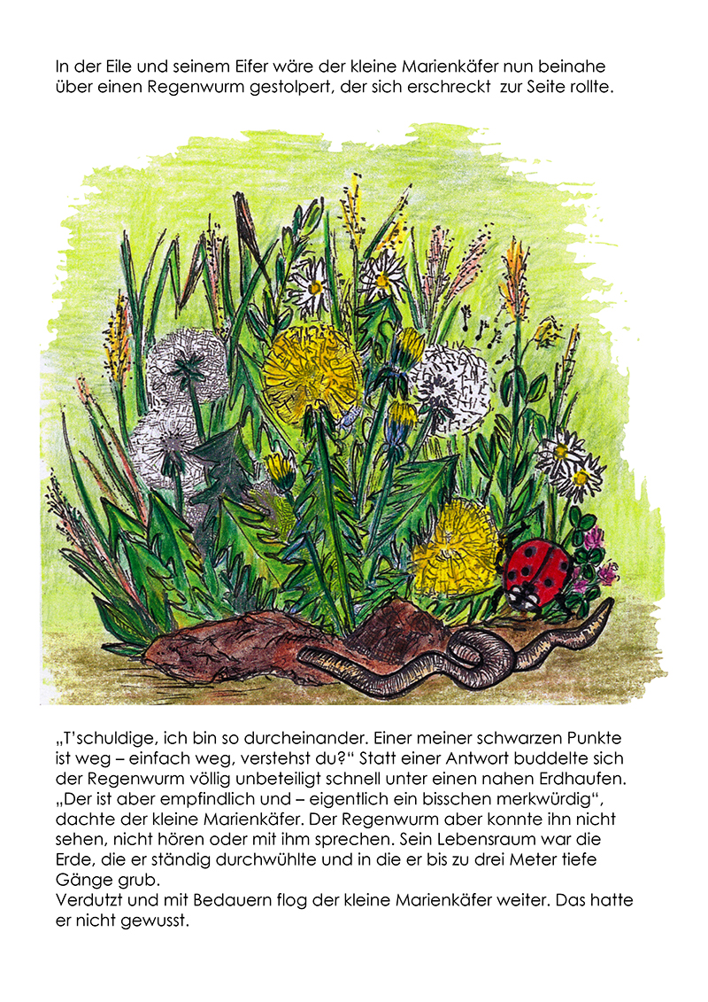 Marienk.%20Bilder_Seiten%2004