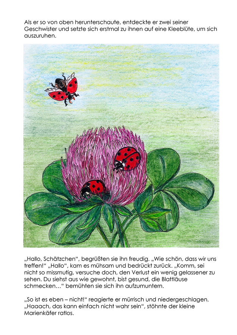 Marienk.%20Bilder_Seiten%2005