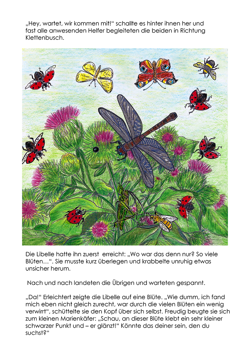 Marienk.%20Bilder_Seiten%2009